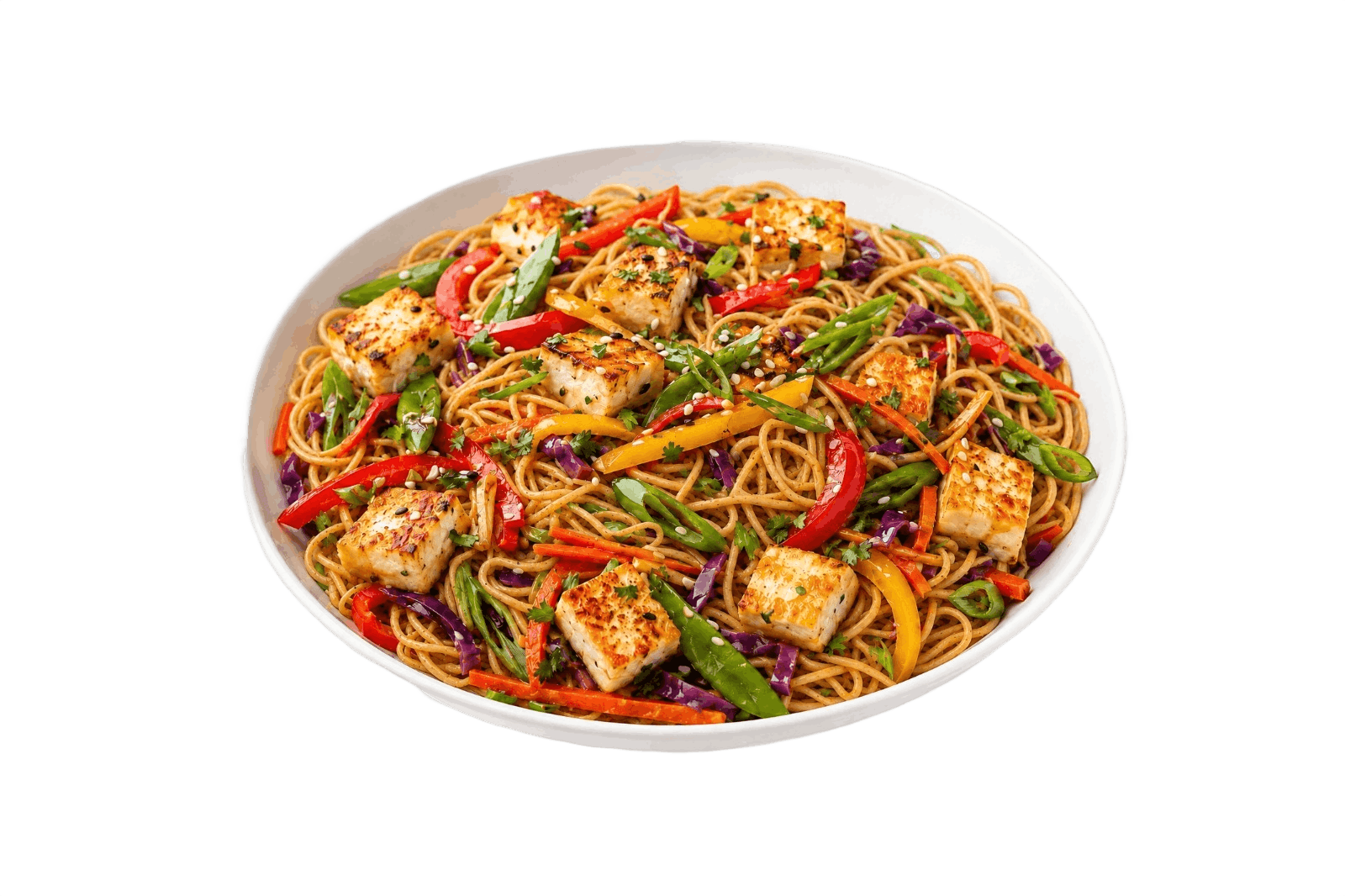Stir Fry Noodles with Chicken